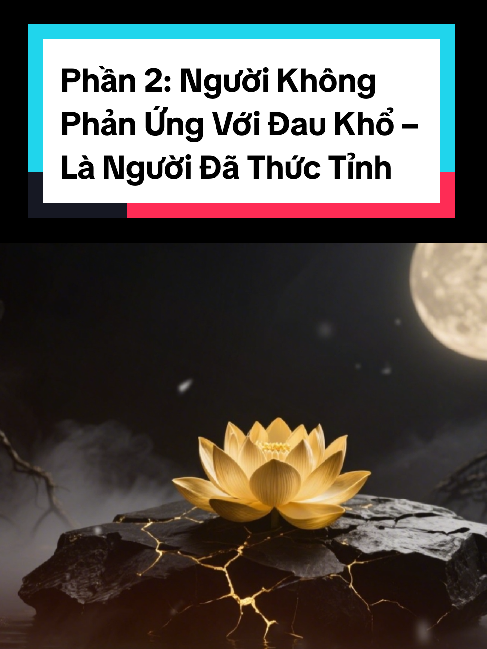 Phần 2: Người Không Phản Ứng Với Đau Khổ – Là Người Đã Thức Tỉnh #langnhincuocdoi #trietlysong #chualanh #chanhniem #tinhthuc 