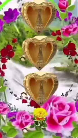 #في هذا اليوم 