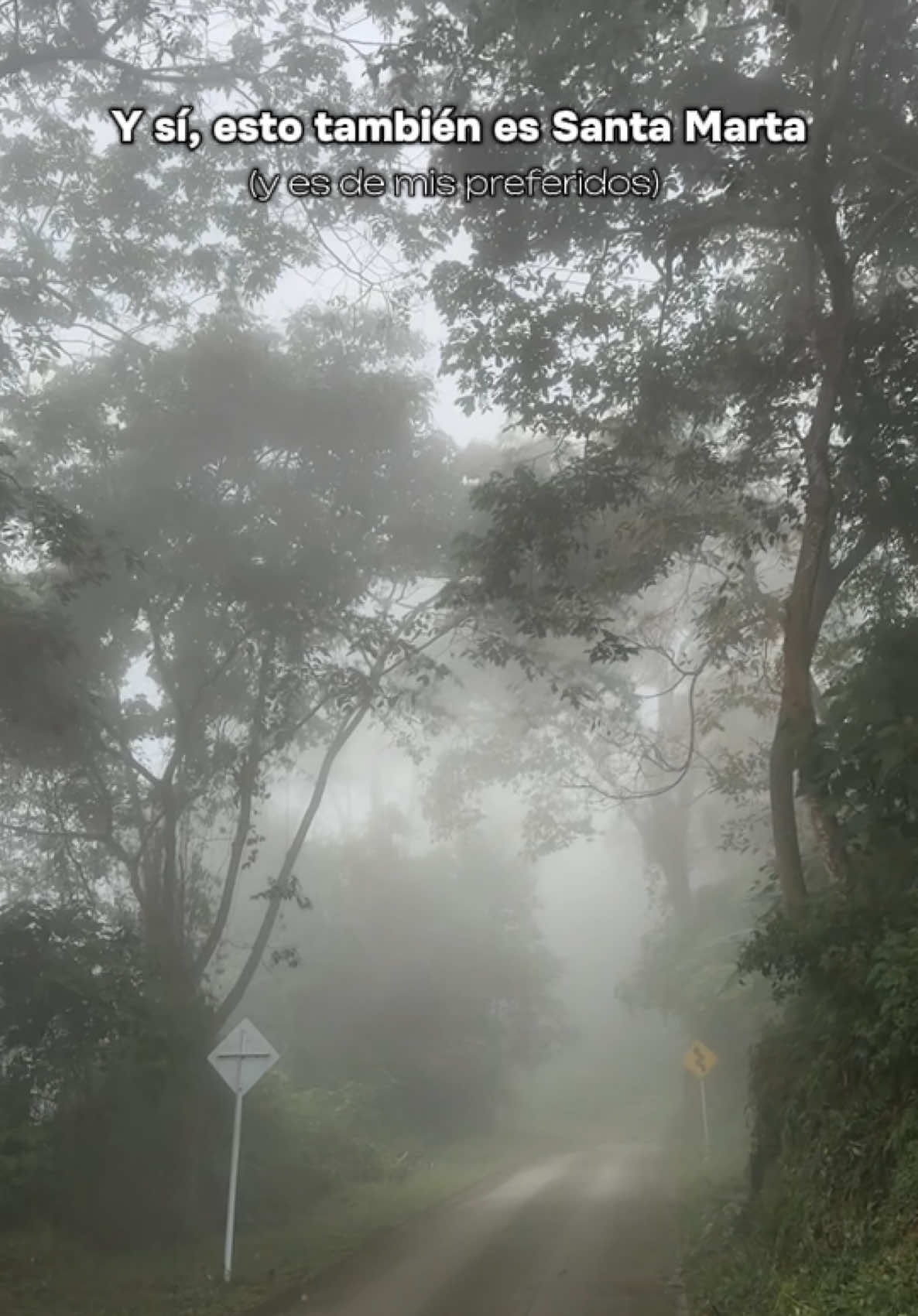 One of my favorite moods in #santamarta  #minca #latagua