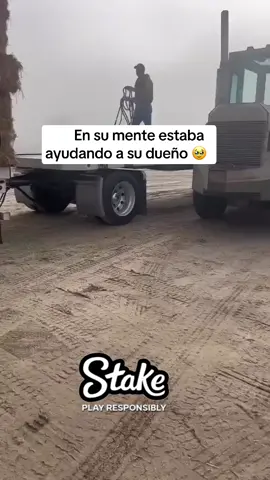 En su mente estaba ayudando a su dueño 🐶❤️
