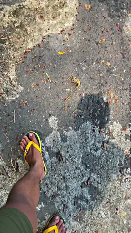 Semoga dibalik sibuk ku,tidak ada orang lain yang menemani mu#truckgarangannesia #truckdeneza #truckmodifiedindonesia #truckrundaputra #fypシ゚ 