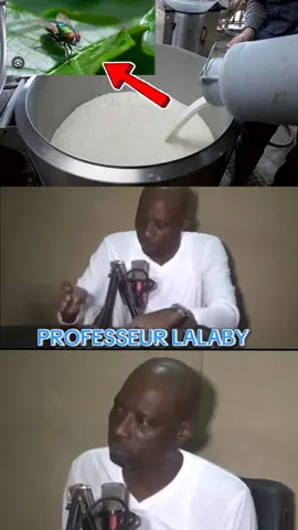 #professeur Gaoussou kalilou Berthe LALABY 
