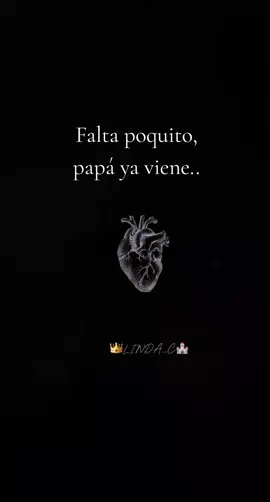 #todo anuncia que Cristo viene#