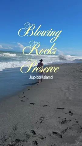 The perfect Sunday 🌊 #southflorida #sunday #blowingrockspreserve 