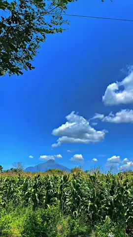 Anginn ee sepoi