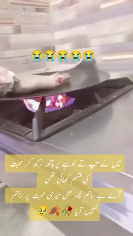 #creatorsearchinsights #میں نے تپ تے لوہے پرہاتھ رکھ کر محبت کی قسم کھائی تھی آئے بے راحم پھر بھی میرے پر راحم نہیں آیا 🥀🍂🥹#tiktokviral #please share and repost shedy 🙏 #tiktokteammyunfreezspleasefreezsmyaccount 