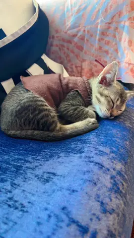 chalera thakey paxi beauty nap linu pareyna tw sathi haru #foryoupage #stutimiso #misomaharjan 