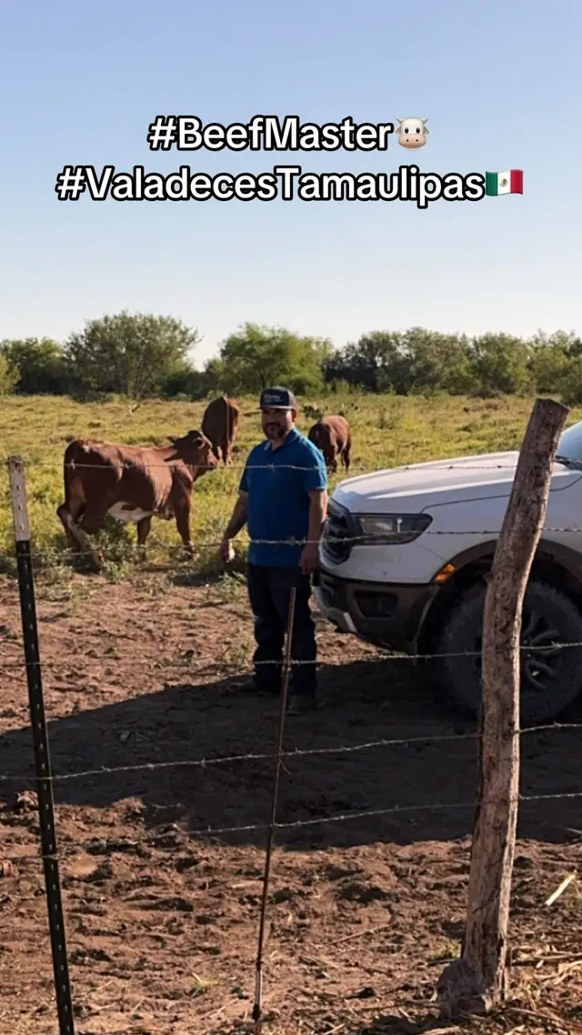 #foryoupage #frankyelizondo3 #wooit🤟🏽 #valadecestamaulipas🇲🇽 #ganadofino🐮 