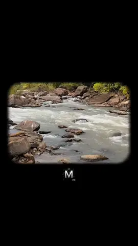 #motivacion #motivacional #reflexion #fyp #creatorsearchinsights 