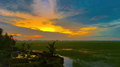 về Tây ninh đi dặm lúa với em nè anh 🤣#62c1 #62 #xuhuonggggggggggggggggg 