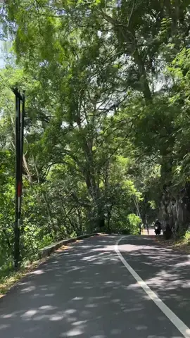 jalur e wong bucin🥲 #trawas #pacetmojokerto #trawasmojokerto #trawasvibes #jalurtrawas 