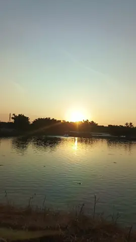 #陪你牽手闖天涯 