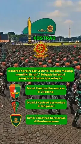 Divisi satuan kostrad