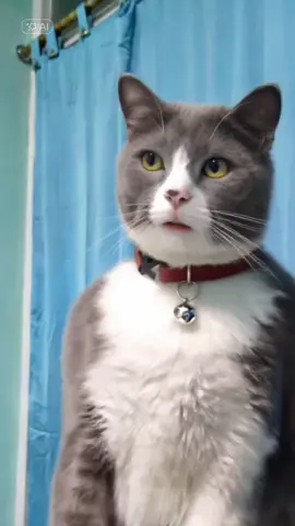 akibat snack mocha habis #fyppppppppppppppppppppppp  #funny #CapCut #AI #aikucing 