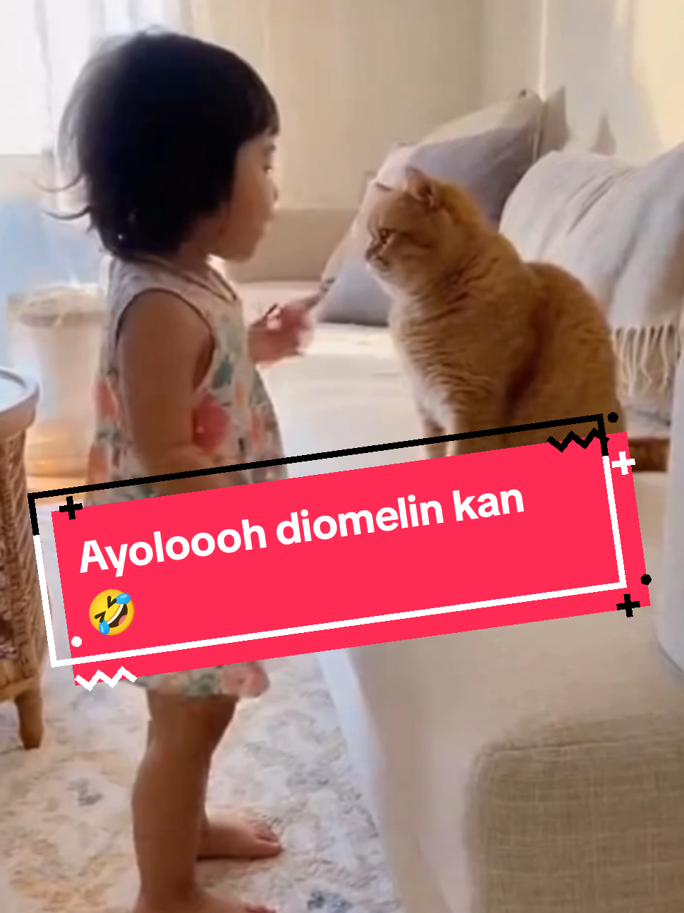 Diomelin kan 🤣 . . . #lewatberanda #hiburan #foryou #fyp #funnyvideo #funny #baby #cute #cat #catlover #sora2 