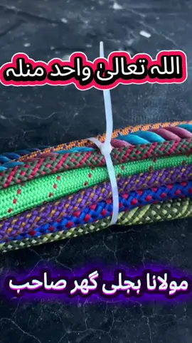 مولانا بجلی گھر صاحب 