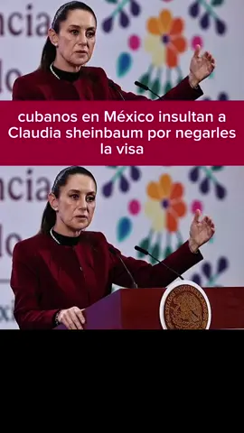 cubanos en México insultan a Claudia sheinbaum por negarles la visa#ultimahora #noticias #claudiasheimbaum #noticiasen1minuto #estadosunidos 