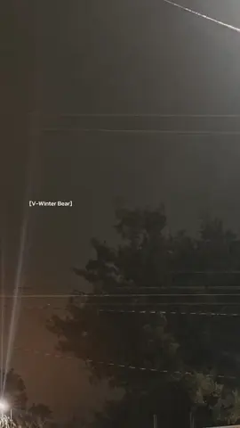 💜Winter Bear - V #V  #winterbearv  #CapCut 