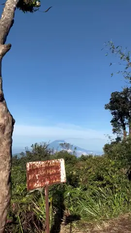 gimanaa kabarnya yang di puncak Slamet, Sindoro sumbing tanggal 13 Oktober  ⛰️ @Basecamp Anjir Gununglangit 