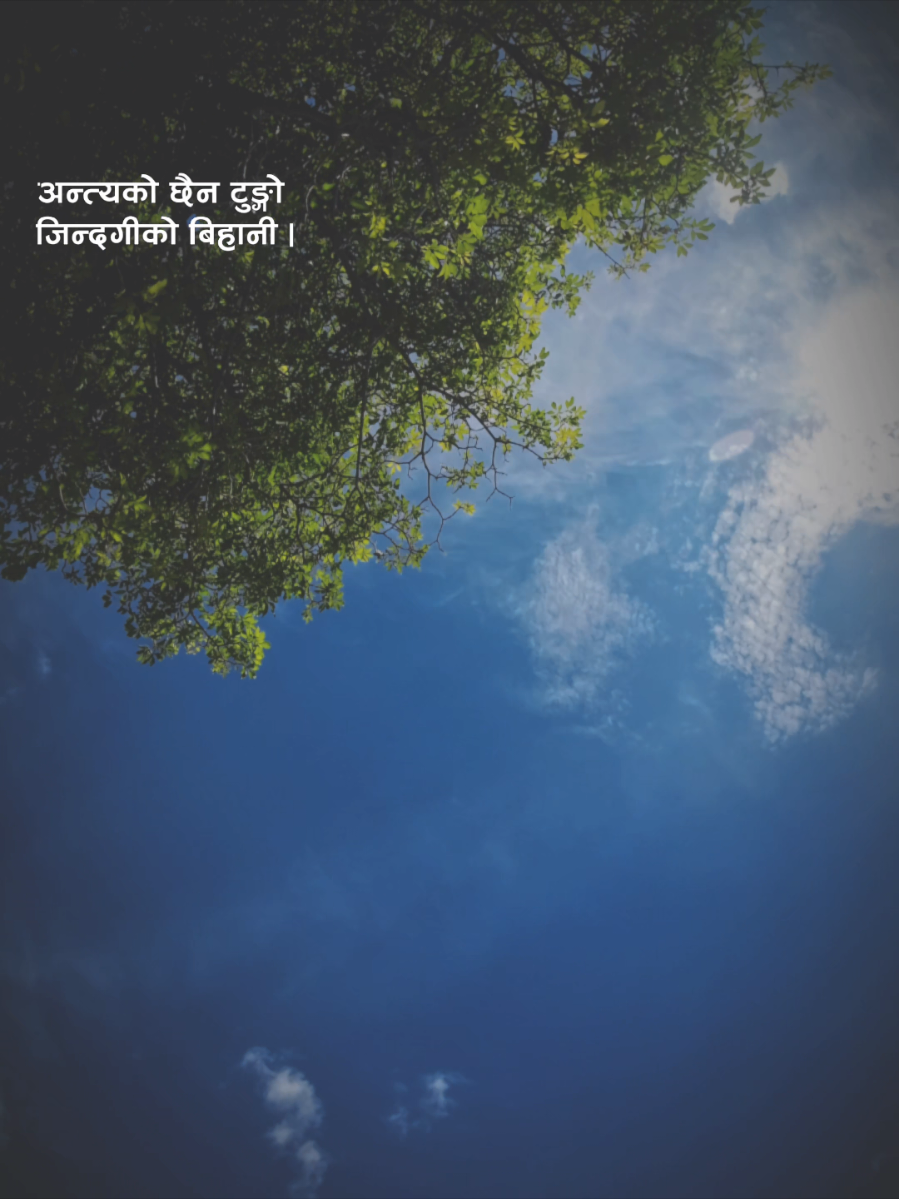 #CapCut #foryoupage #sadlines #nature #mseditz0111 