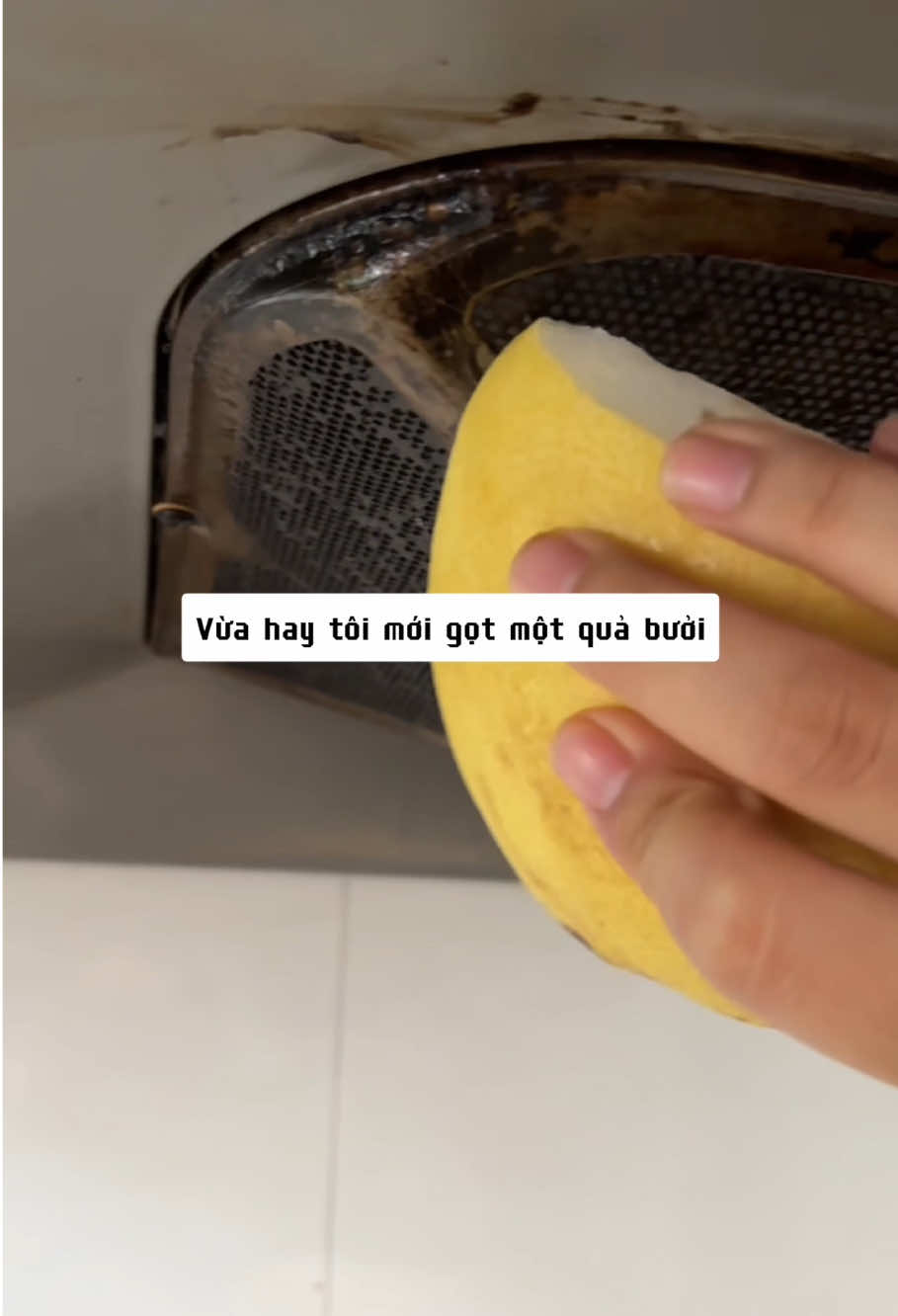 Vỏ bưởi có rất nhiều tác dụng hay. Bạn có thể dùng vỏ bưởi để vệ sinh máy hút mùi, sạch sẽ và hết nhờn #lifetips #dailytips #lifehacks #meovesinh #taphoadaudau