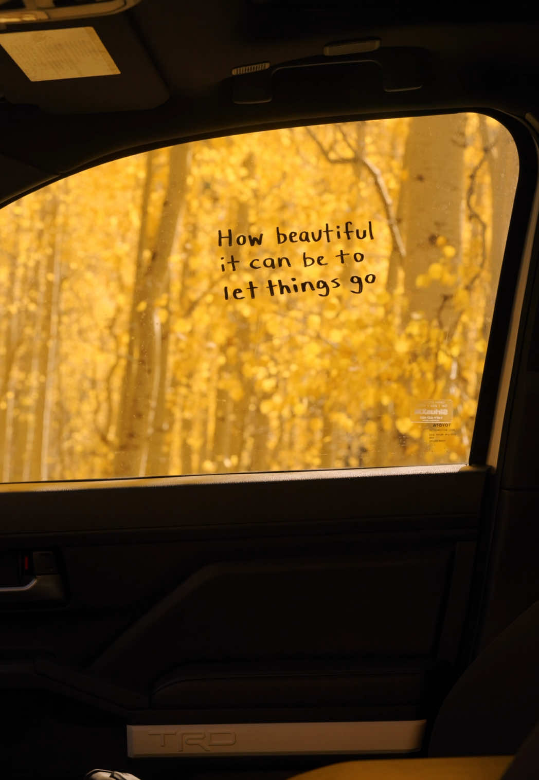 Fall teaches us how beautiful it can be to let things go.  Get Busy Living 🔆