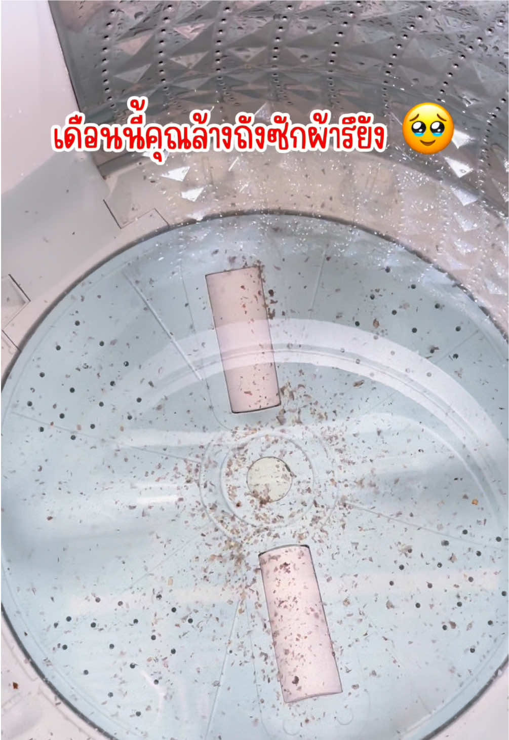เดือนละครั้งก็ยังดี 🥹 #ล้างถังซักผ้า #ล้างถังเครื่องซักผ้าเอง #ติ๊กต๊อกช๊อป #ติ๊กต๊อกป้ายยา 