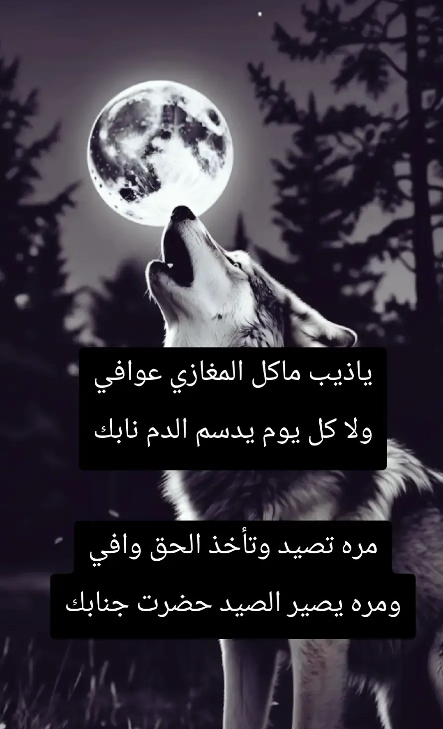 #CapCut #7110917 شريان العز 