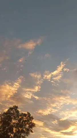 #tiktok #mối tình đầu năm xưa ## #canhđepthiennhienvungque ## #nhackhongloi ##