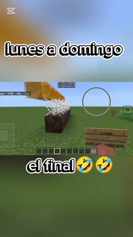 Mi semana #youtube #tiktok #gta6 #Minecraft #humor 