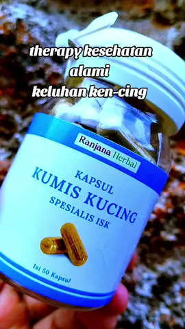 rekomendasi teh kumis kucing yang asli ori untuk therapy kesehatan alami  #teh #tehherbal #tehkumiskucing #modalkontendoang 