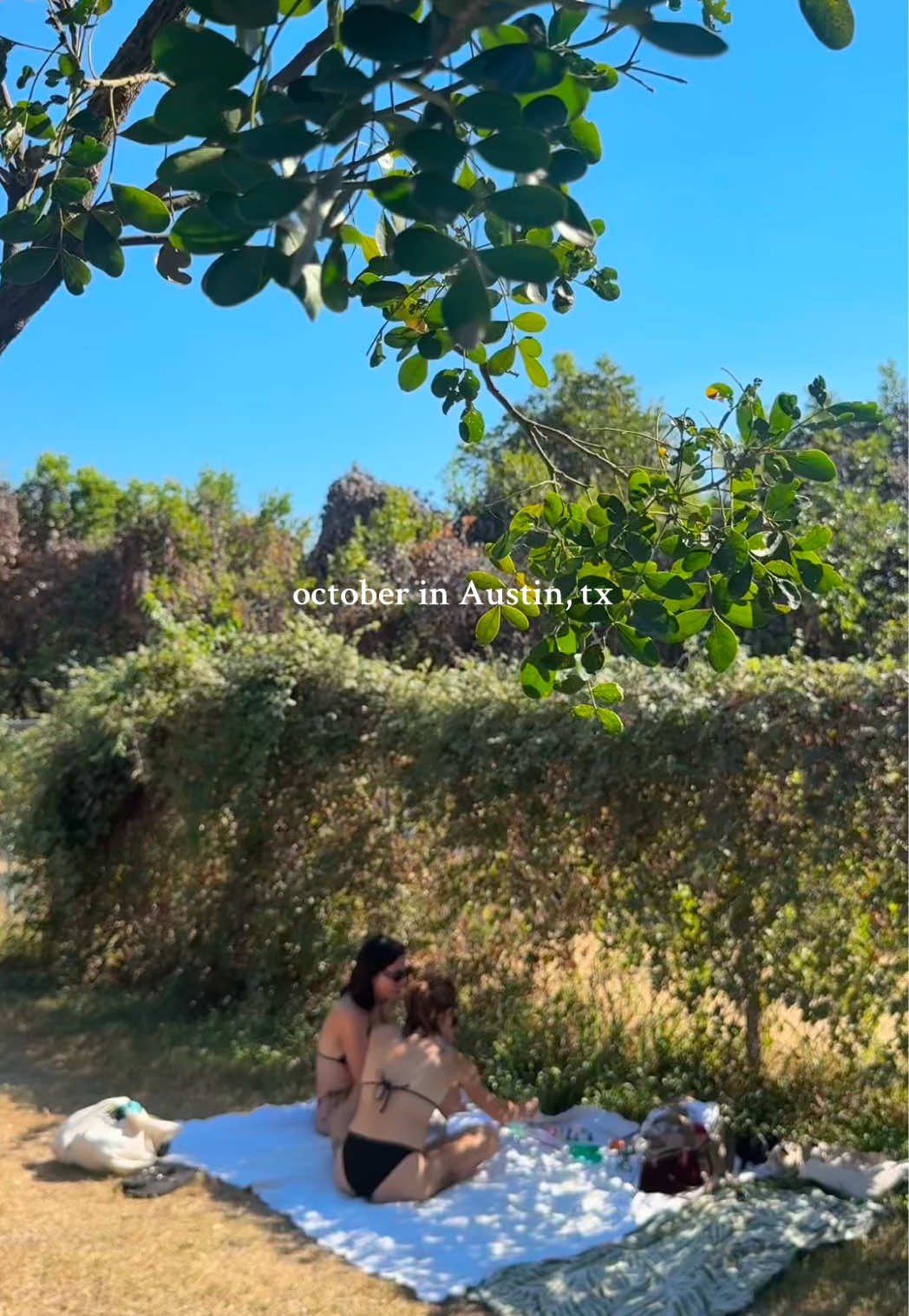 🌺