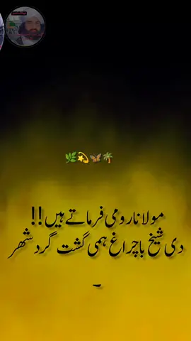 #peernaseerudinnaseerpoetry#growmy#account #pirNaseeruddin Naseer #peernaseer  پیر نصیر الدین نصیر شاہ   # golrasharif# دیوانہ نصیر دیوانہ نصیر میخانہ نصیر @ 1# Ali# 