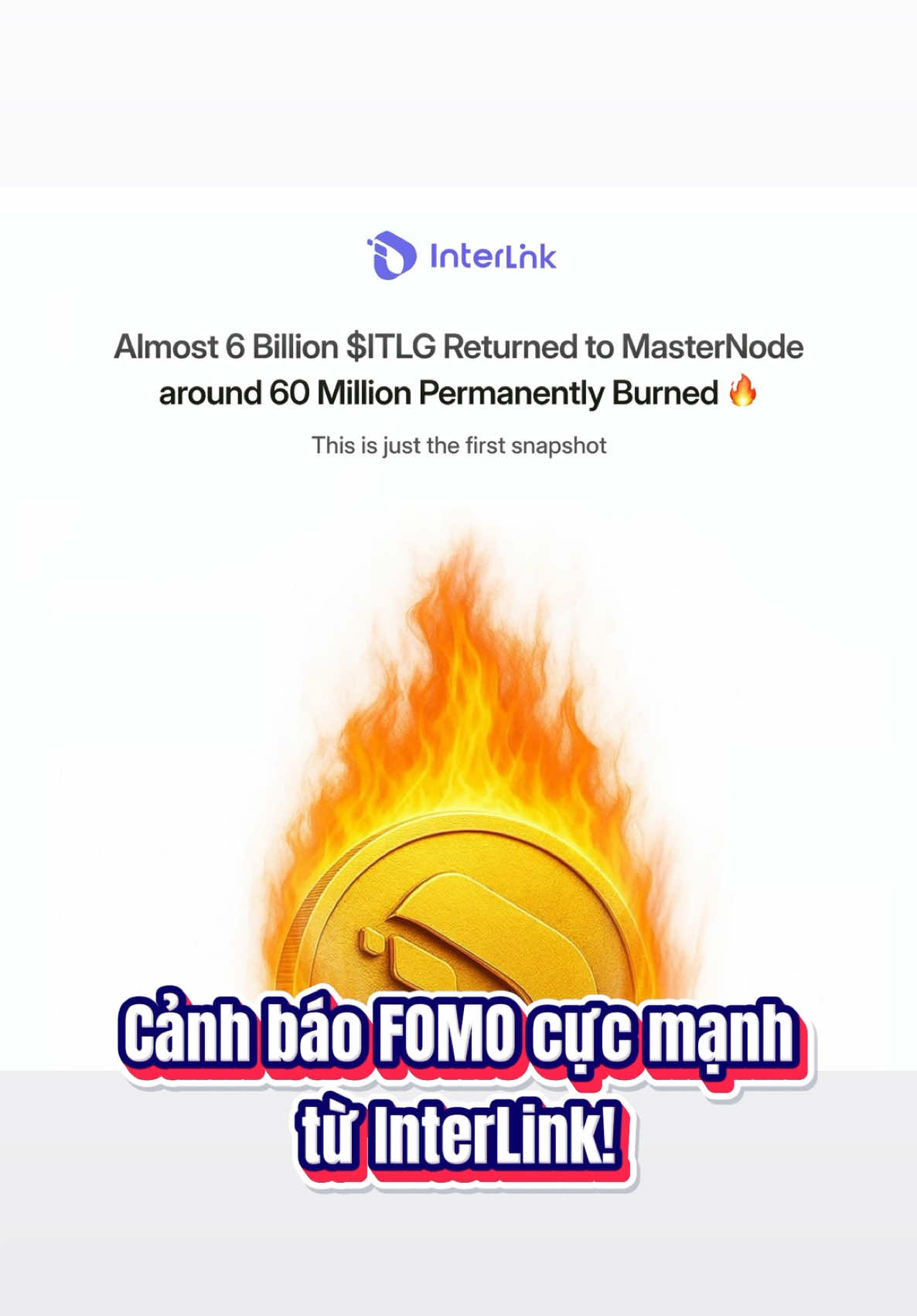 🔥 Chu kỳ đốt ITLG dài hạn chính thức bắt đầu! #fyp #tiktok #viral #ITLG #interlink