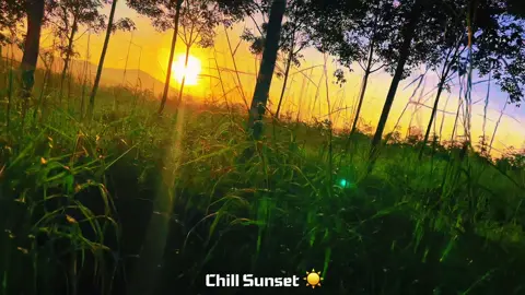 3 cây 7 lá 1 hoàng hôn, 1 yêu 2 nhớ ngàn nụ hôn#nhacnaychillphet #hoanghon #sunset #chill #CapCut 