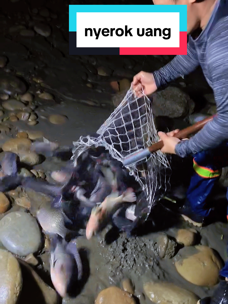 banyak ikan di sungai #ikan #sungai #hiburantiktok #foryoupage #fyp 