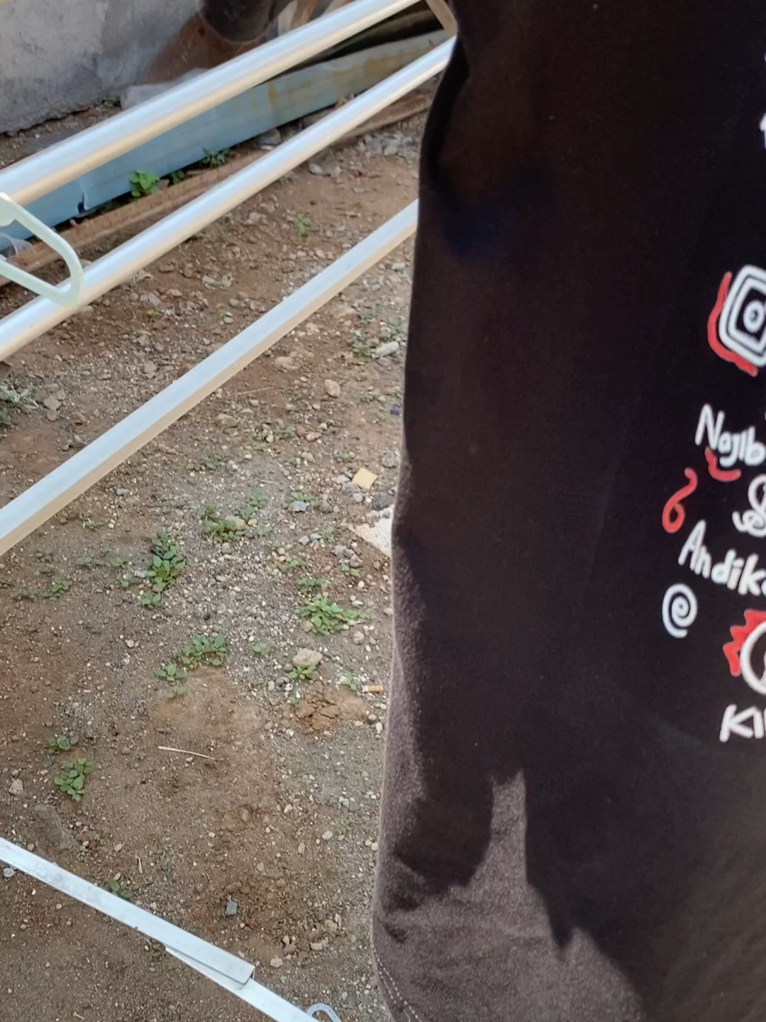 ready banyak #gsky👹 #gwsm #gwsmfamily