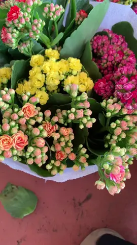 hoa sống đời thái cánh kép siêu nụ siêu hoa về đủ màu sắc cho ace thích sưu tầm nhiều màu ạ #xuhuonghoasongdoi #ilovetiktok