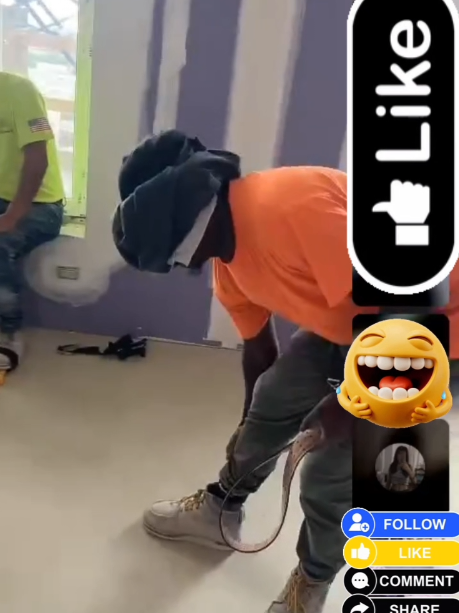 Part 3/ La Gallina Ciega . El juego. #viraltiktok #viralvideo #legacyakarley #construccion #hispanosenusa @Legacy Akarley @𝓐𝓚🦁𝓩𝓾𝓻𝓭𝓸𝓛𝓲𝓪𝓶🌑🤴💰  @*AKARLEY* @🦁AK🐺A͎L͎F͎A͎💦🥷🏻🐭🐉🫶🏻🥑 @Snaider stick @Zack03 @LEONARDO 🦍 