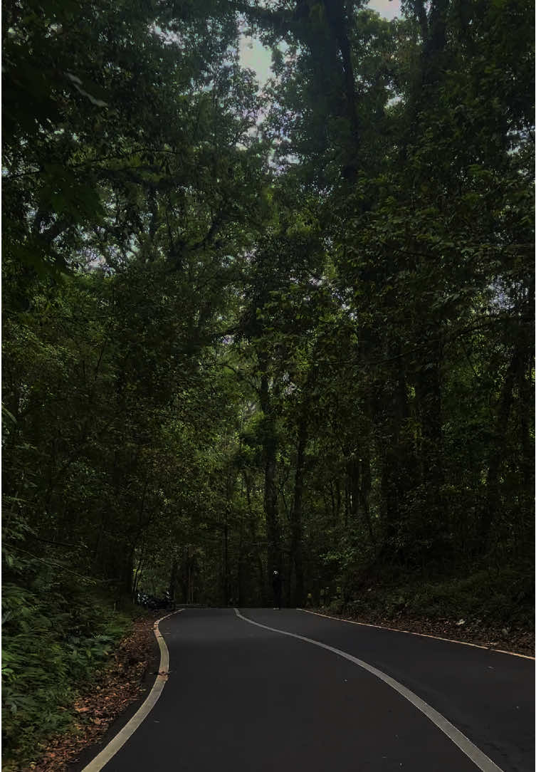 obat untuk penyakit tidak terlihat🙂🌿 #cangar #cangarbatu #pacetmojokerto #cangarpacetmojokerto #hutanpacet 