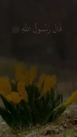 #مواعظ #fyp #قران_كريم #ادعيه 