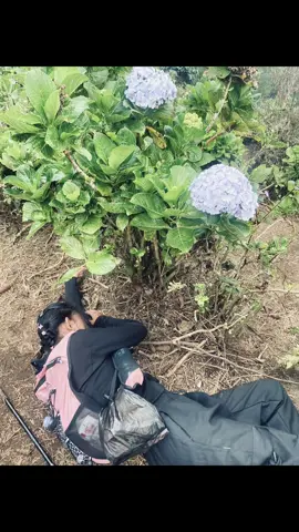 #trending aku pingsan dlu ya #gunungluhur #xybca #4u #foryoupage #fotolive 