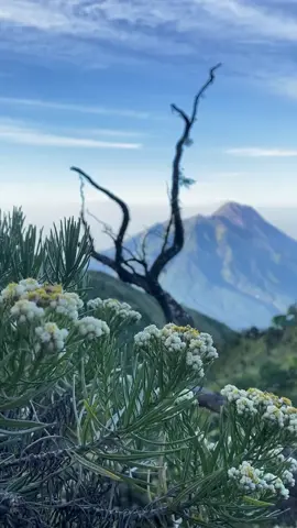 ⛰️