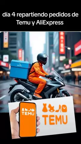 #fyp #temufinds #paqueteria #repartidor 