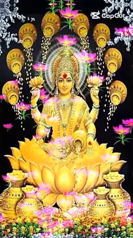 #🙏🌺ॐ जय माता लक्ष्मी #🙏🙏🚩🚩🚩 
