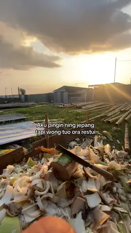 😇#kenshuseijapan🇮🇩🇯🇵🎌 #jepangindonesia #fyp #sragen24jam 