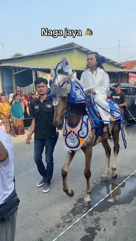 Naga jaya 🐴 #promomakan1010 #Barayamf #fyp #kudarenggongmajalengka #kudarenggong 