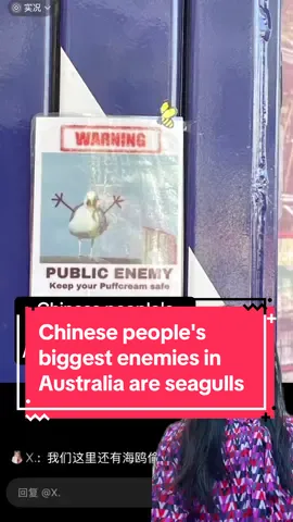 I’ve never been to Australia before and all of these posts are from RedNote, can a local Australian please confirm if this is true? #seagull #australia #chinese #tourist #mcdonalds #sydney #melbourne #goldcoast #中国人 #澳大利亚 #旅游 #fries #greenscreen #greenscreenvideo 