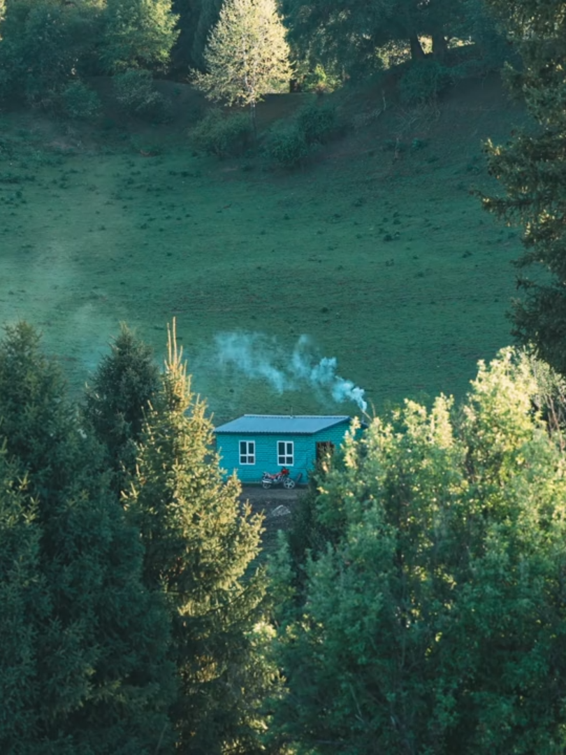 Feel the inner peace in Xinjiang - herds of cattle and horse leisurely graze in the temperate steppe. You can capture a cozy life in locals’ shepherding as well as in their cottages when wisps of smoke rise. Stand high and gaze into the distance!  It’s a tranquil Xinjiang presented by @Seeing's Cinematic World #WhatsXinjiangLike #ChillMoment