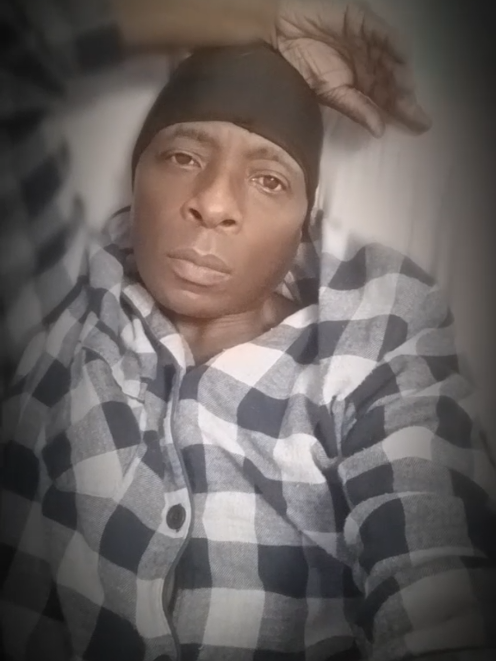 #viral #tiktok #Nfl #tv #cats 